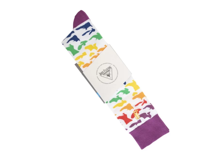 Fluevog Shoes Rainbow Stanzi Vog Socks | Colorful Shoe Filled Socks for Stylish Comfort